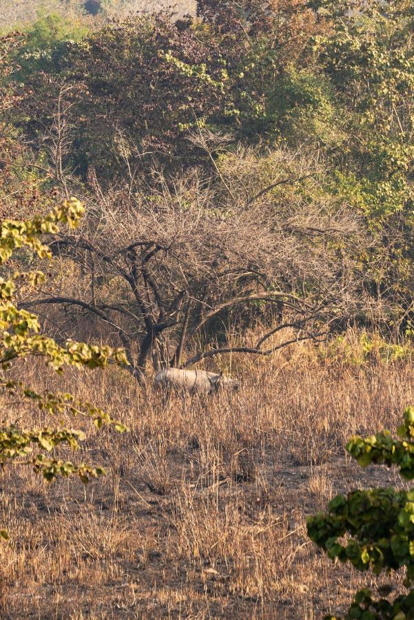 Tiger Tops Karnali Lodge Bardiya Exterior foto